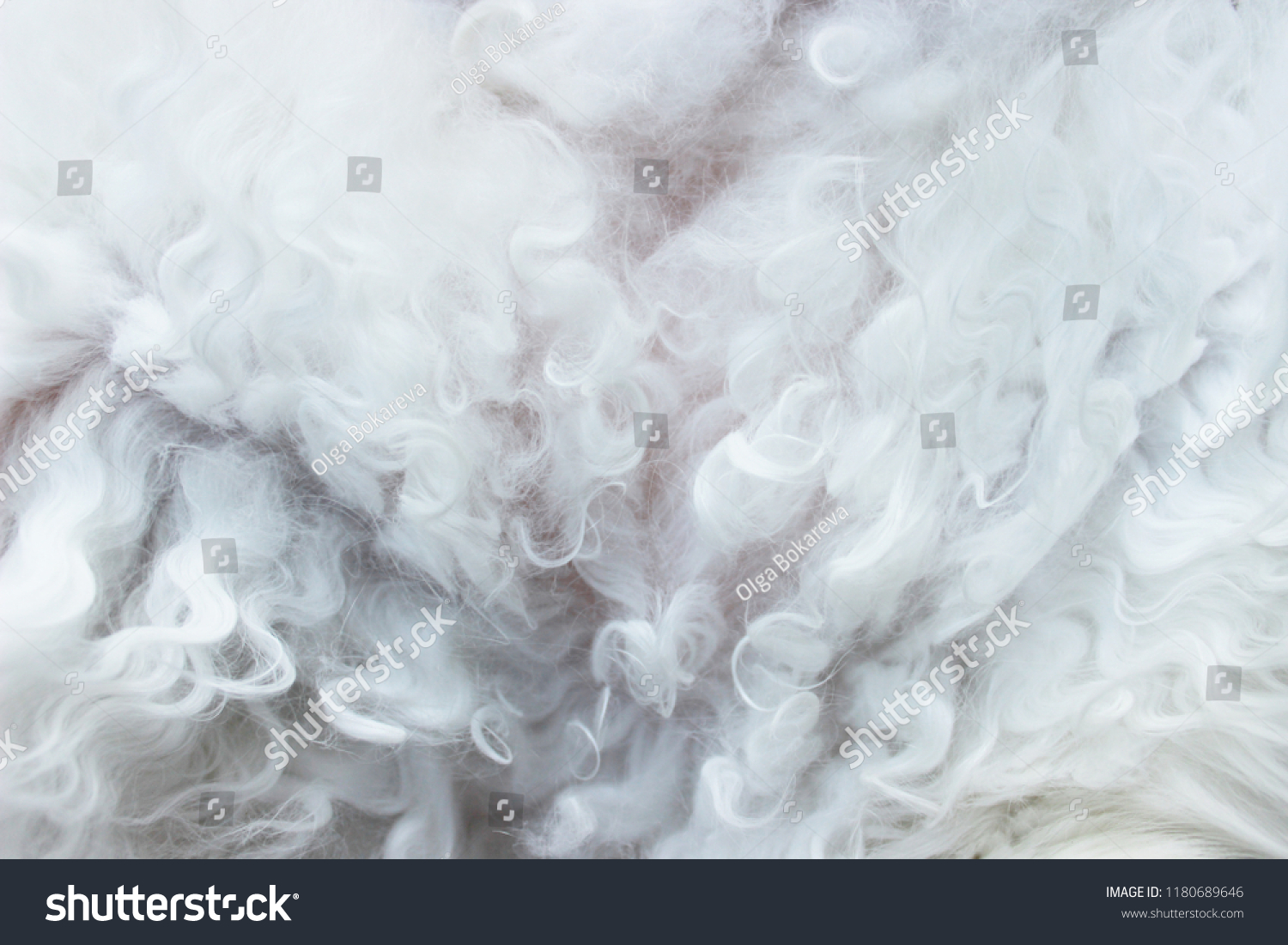 Curly White Cat Fur Texture Resembling Stock Photo 1180689646   Stock Photo Curly White Cat Fur Texture Resembling Swirls Of Smoke Or Steam 1180689646 