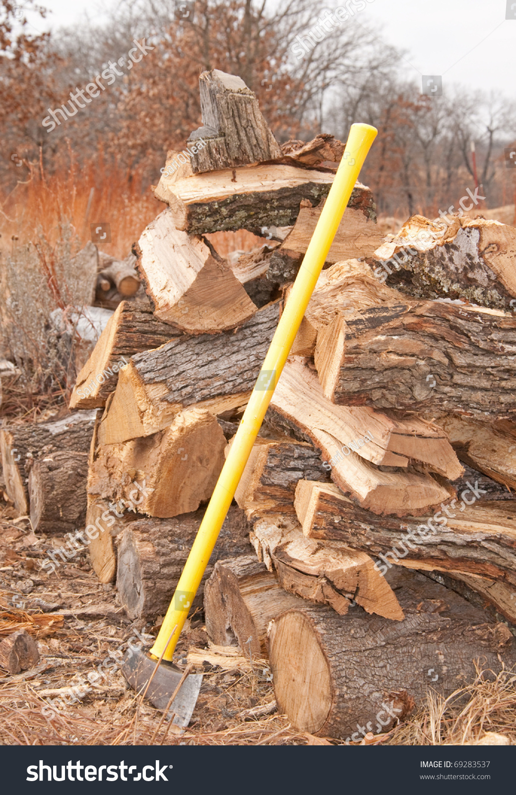 Cut Split Fire Wood Drying Open Stock Photo (Edit Now) 69283537