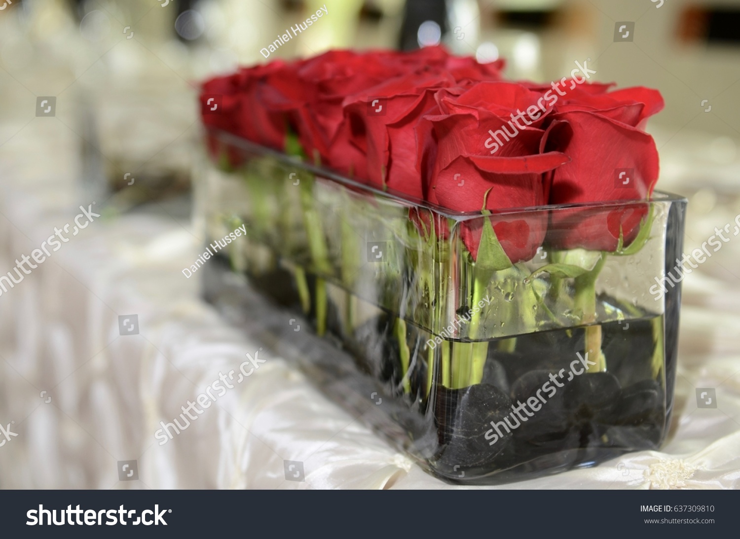 Cut Roses Glass Jar Wedding Decoration Stock Photo Edit Now 637309810