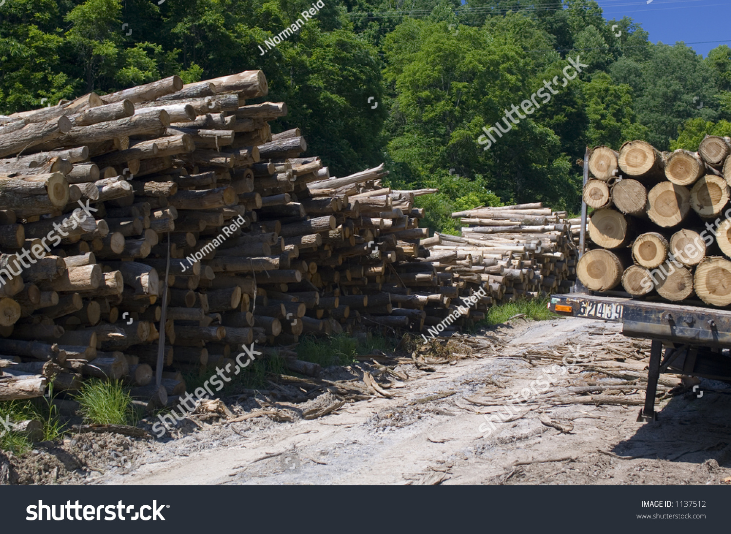 Cut Timber Piled For Pulpwood - Trailer Loaded With Logs - Washington ...