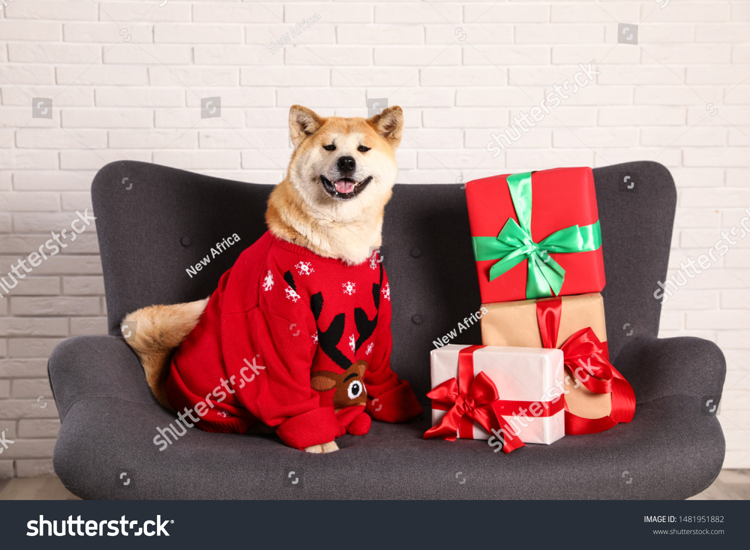 shiba inu christmas sweater