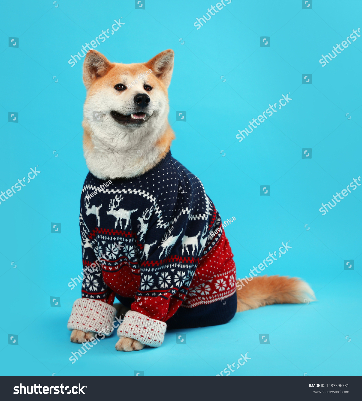 shiba inu christmas sweater