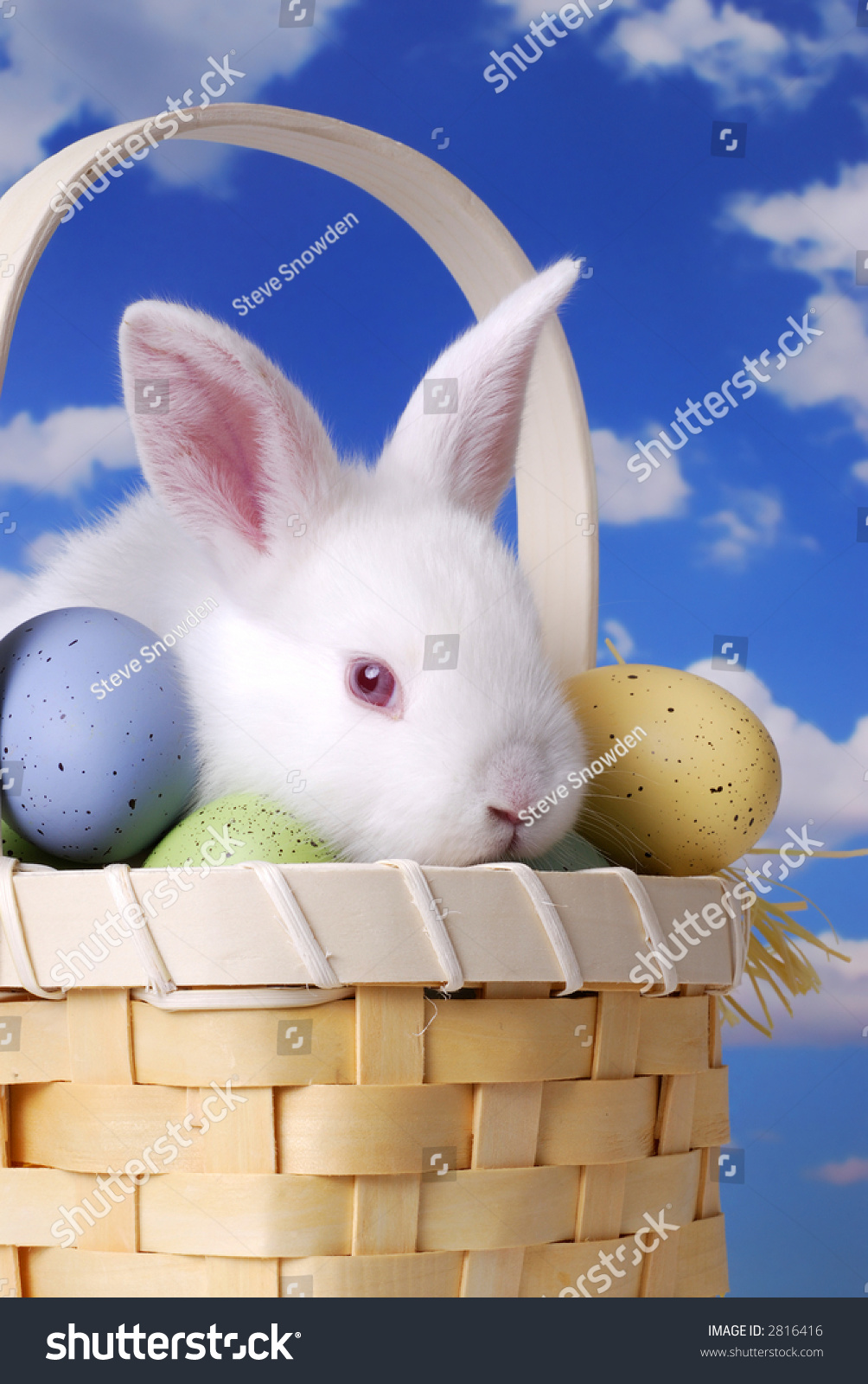 Cute Baby Easter Bunny Sitting Basket Stock Photo (Edit Now) 2816416