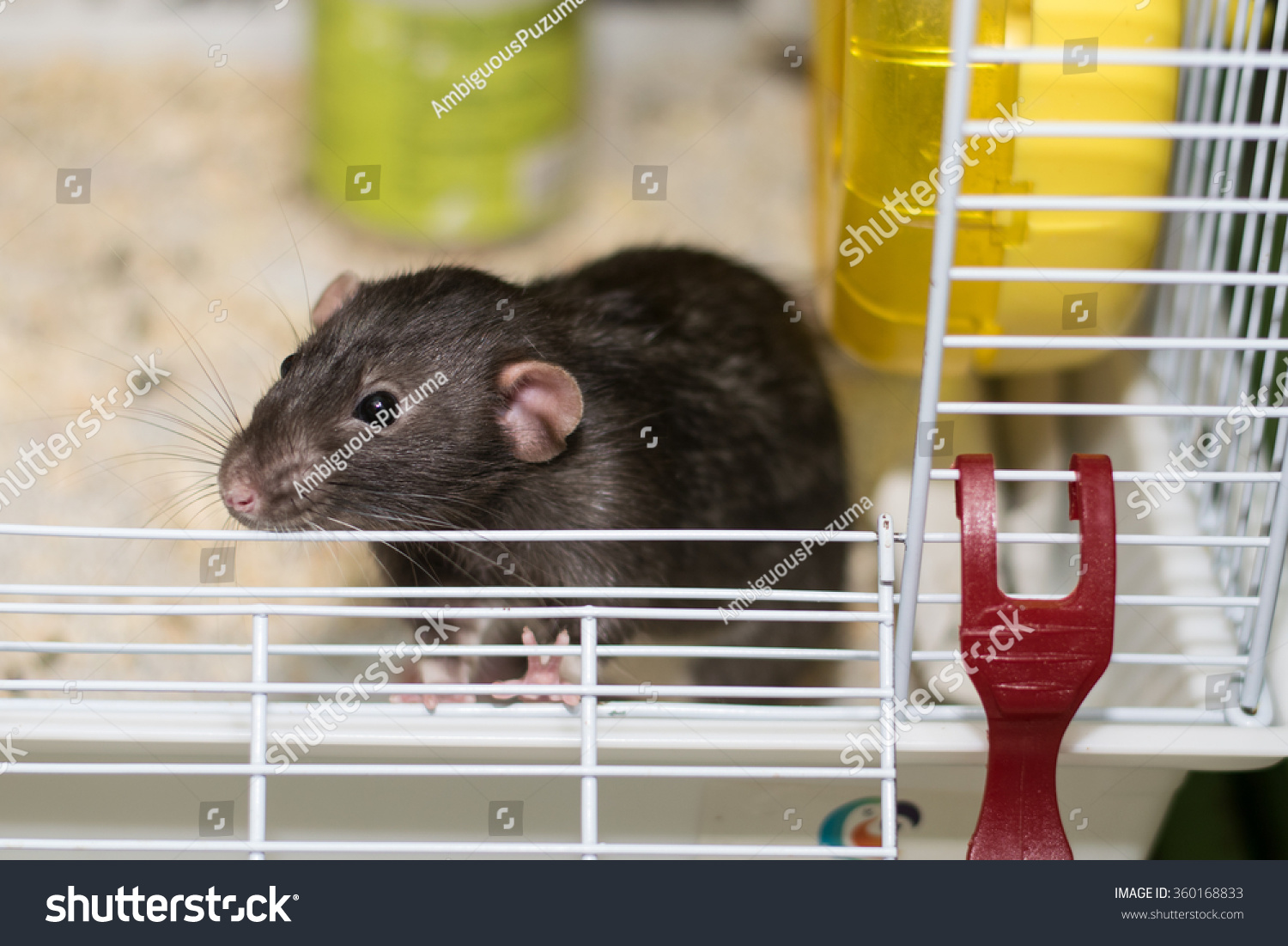 cute mouse cage