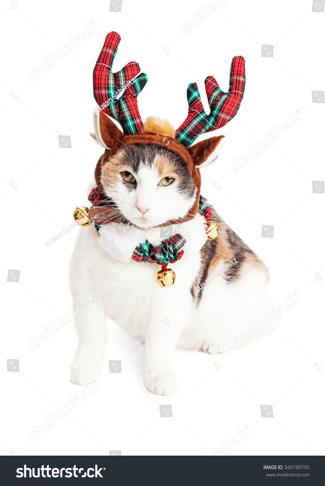 cat reindeer ears