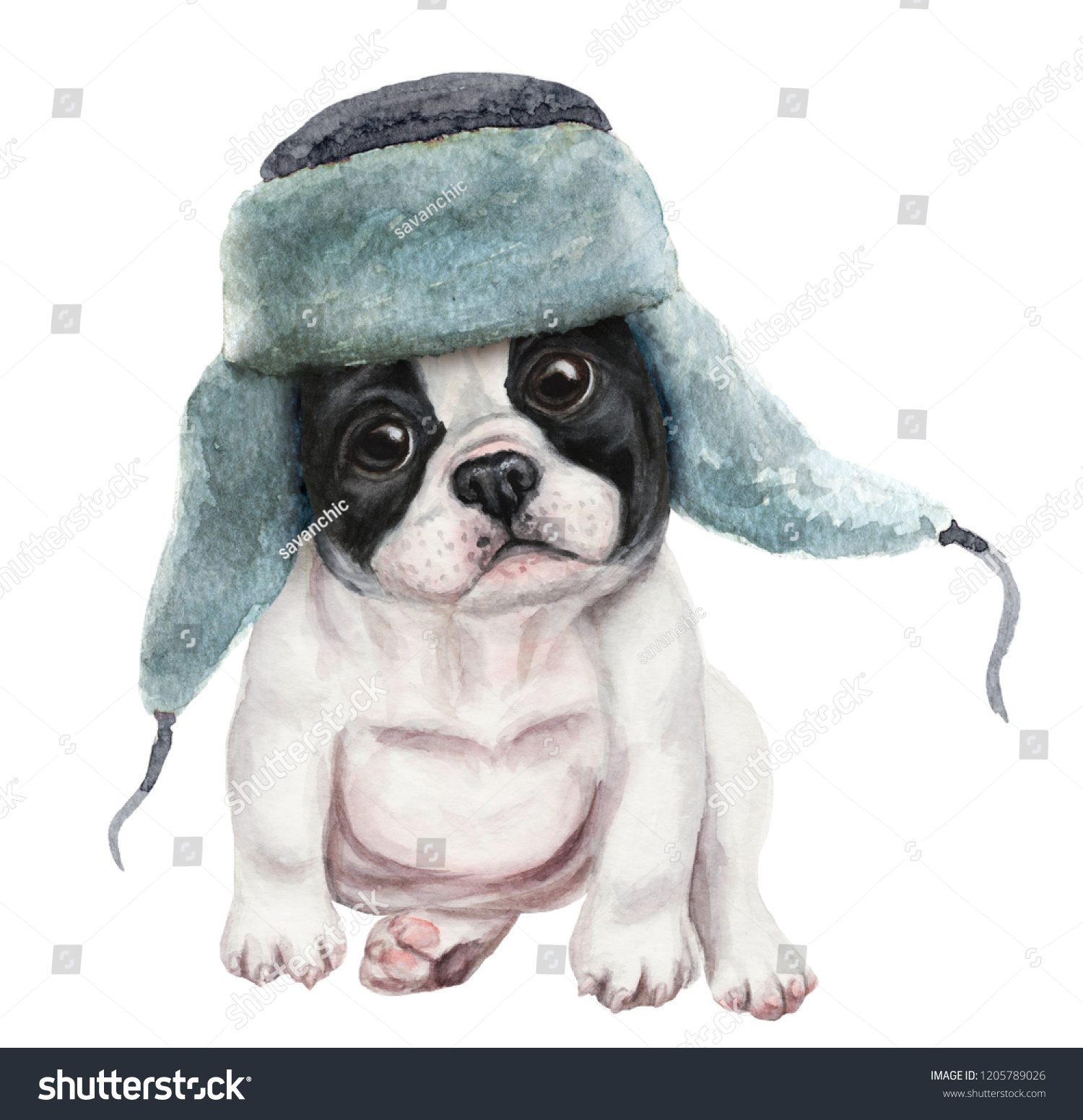 puppy winter hat