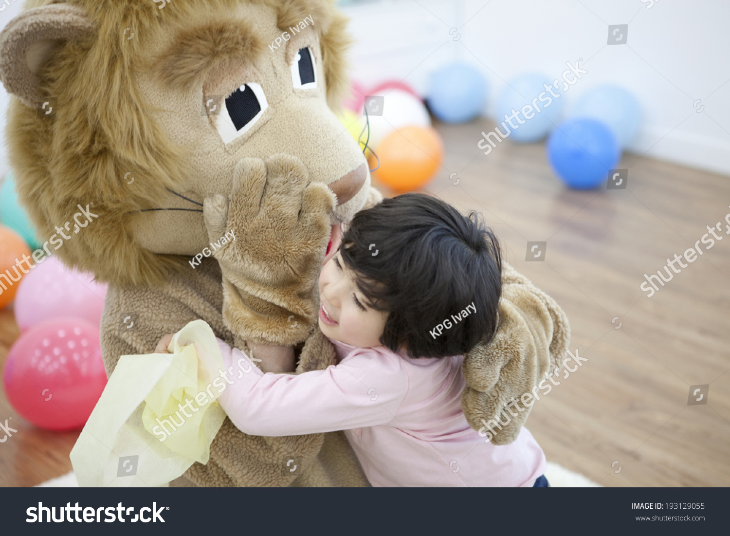 cute korean teddy bear