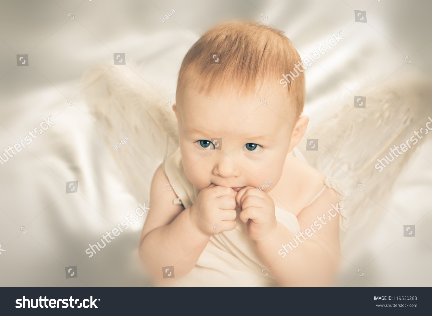 Cute Little Baby Angel Stock Photo 119530288 : Shutterstock