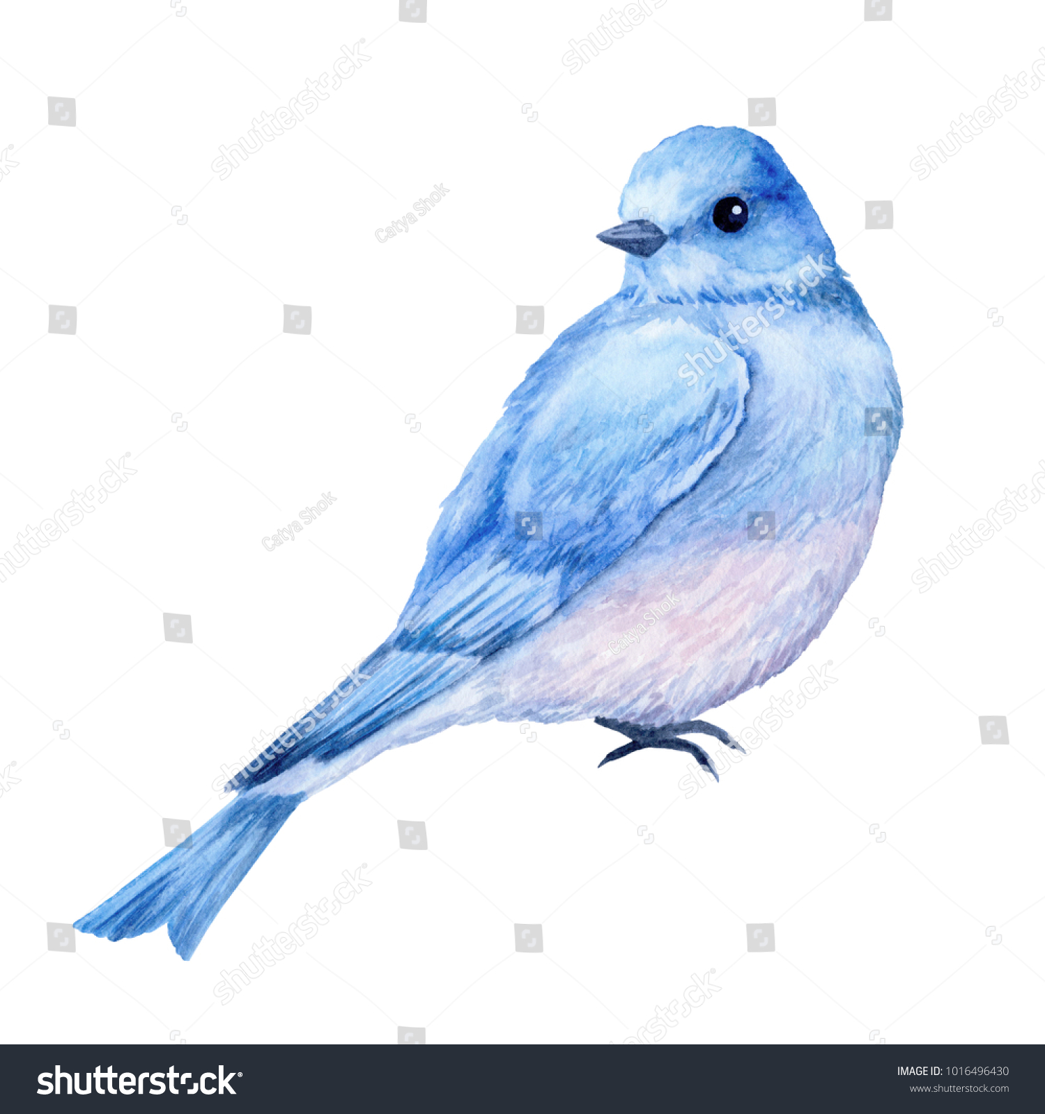 かわいい小さな青い鳥 水彩イラスト かわいい動物や鳥 ばねの記号 ハッピーイースター ブルーラックバード のイラスト素材