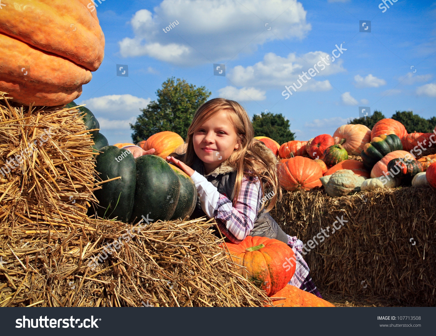 Cute Little Girls Pumpkin Patch Stock Photo 107713508 - Shutterstock