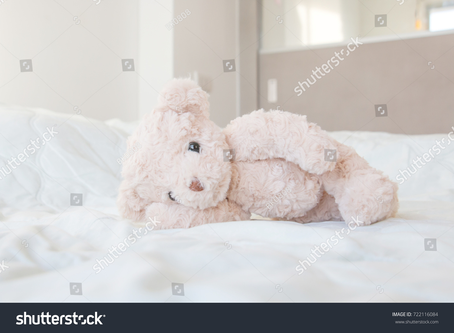 Cute Little Teddy Bear Sleeping Bed Stock Photo 722116084 Shutterstock