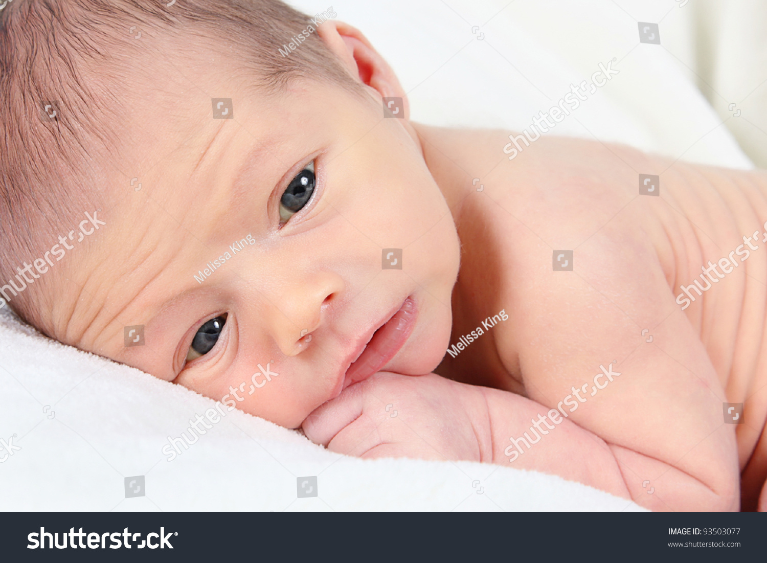  Cute  Newborn Baby Boy  Posing  Camera Stock Photo  93503077 