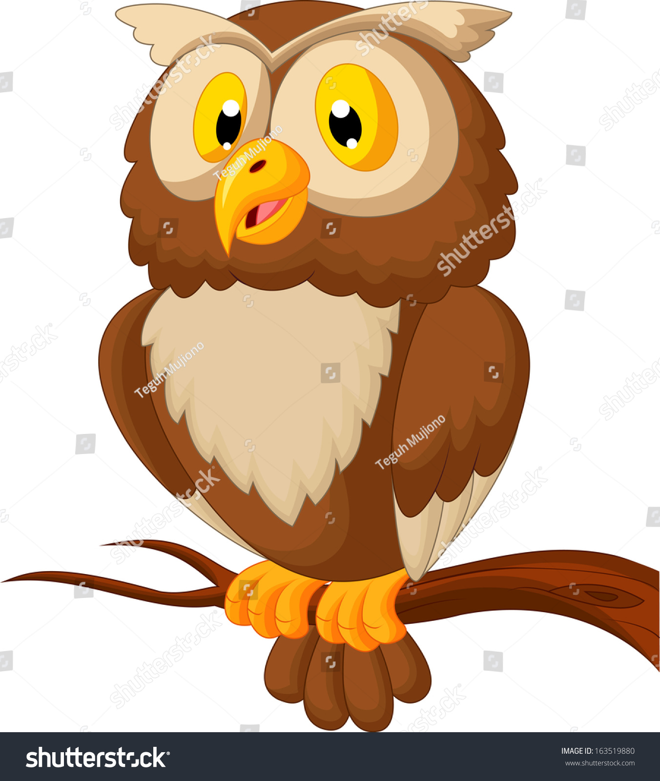 Cute Owl Cartoon Stock Photo 163519880 : Shutterstock