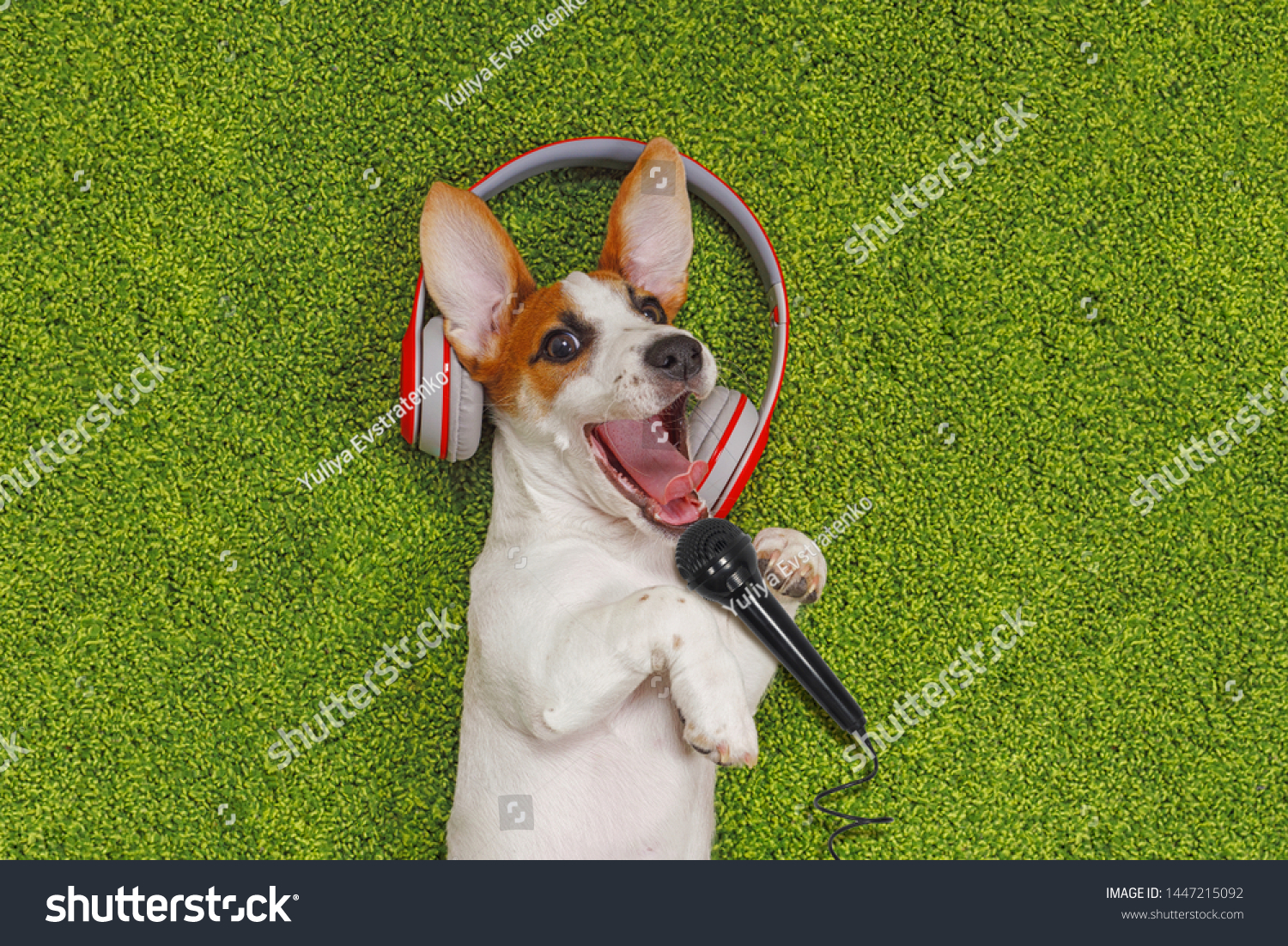 cute puppy songs