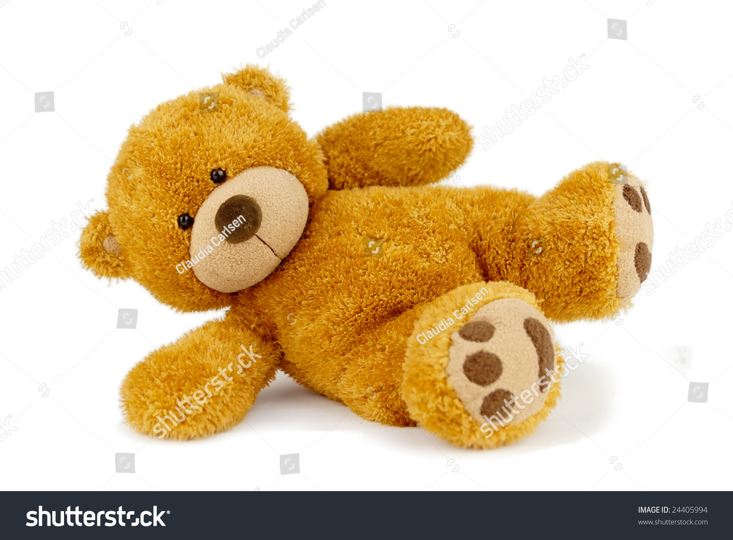 Cute Teddy Bear Stock Photo 24405994 : Shutterstock