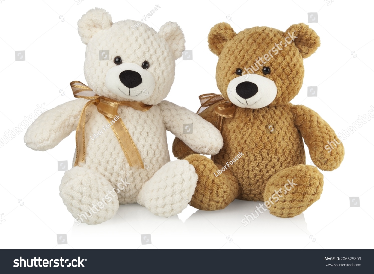 white and brown teddy bear