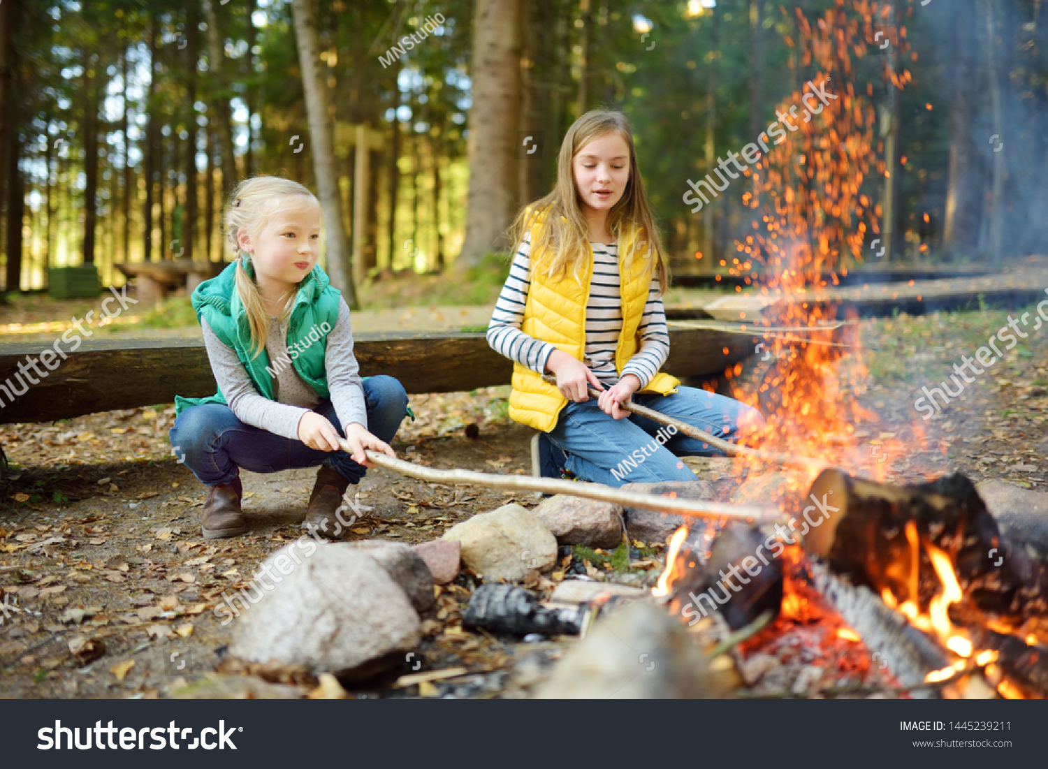 Cute Young Sisters Roasting Hotdogs On Stock Photo 1445239211 ...