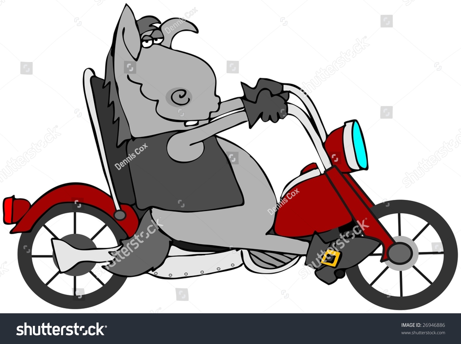 donkey cycle