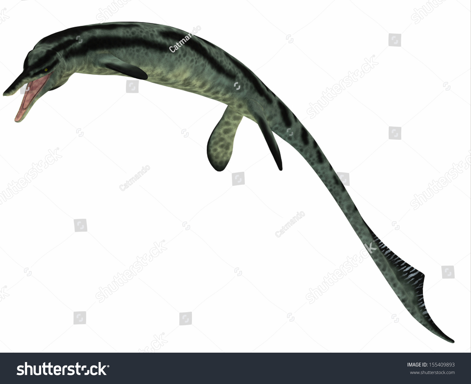 Cymbospondylus Ichthyosaur Profile - Cymbospondylus Is An Early ...