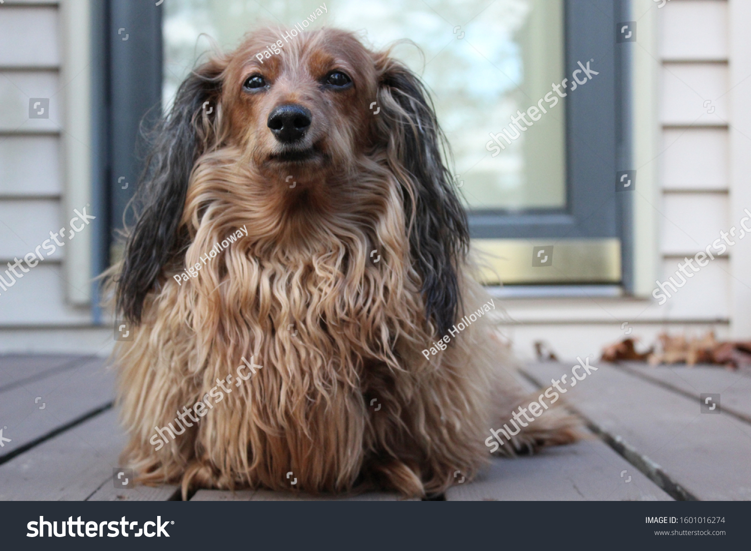 Doxin Images, Stock Photos & Vectors | Shutterstock