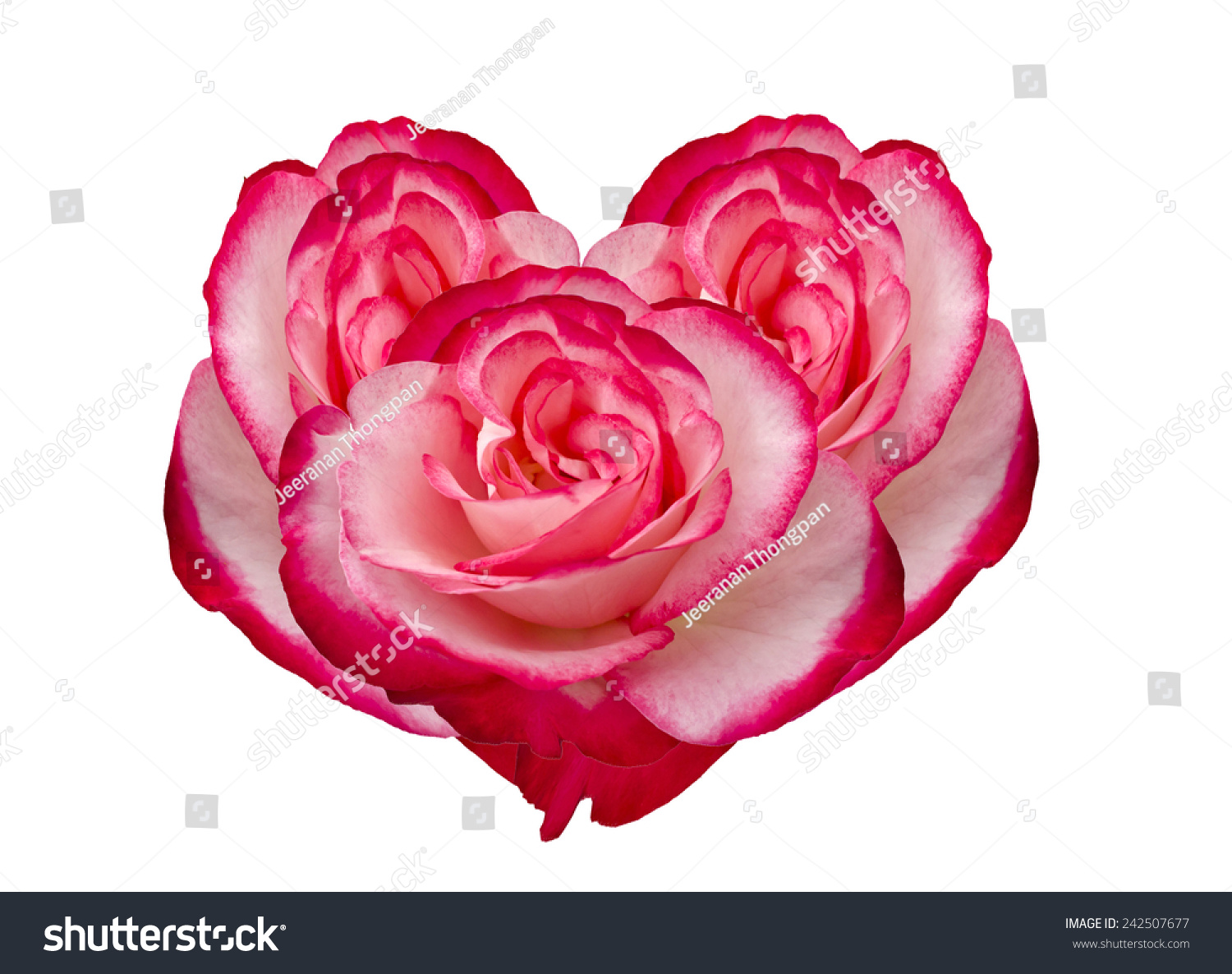 Damask Rose Heart Frame Isolated On Stock Photo Edit Now 242507677