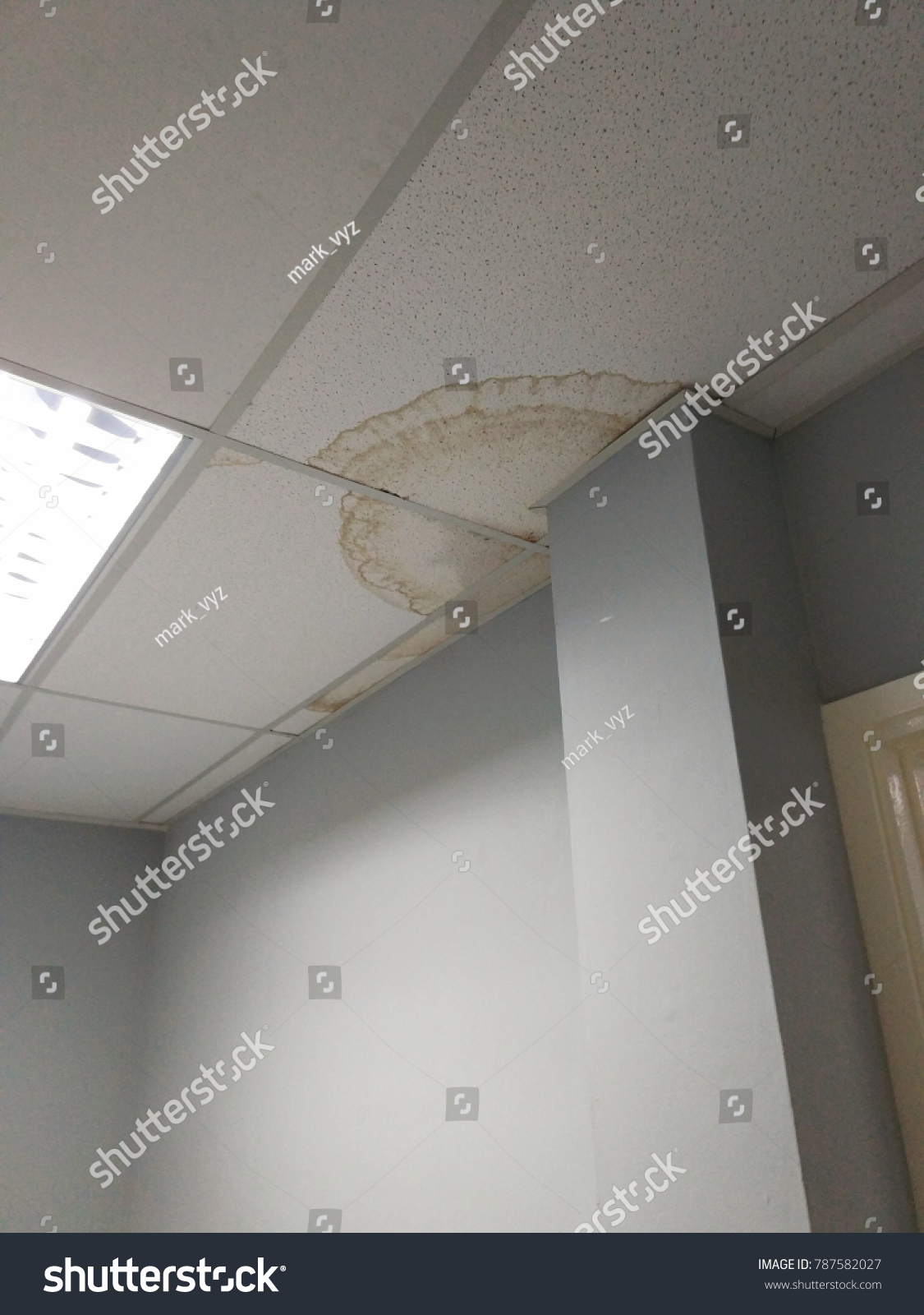 Dangerous Toxic Fungus Mold On Ceiling Royalty Free Stock