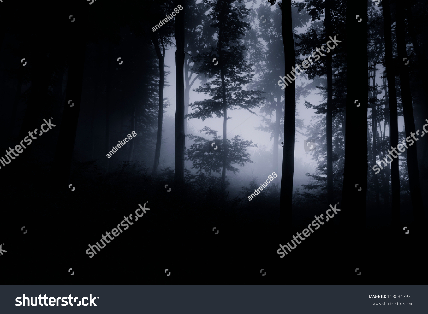 Dark Night Forest Background Stock Photo Edit Now