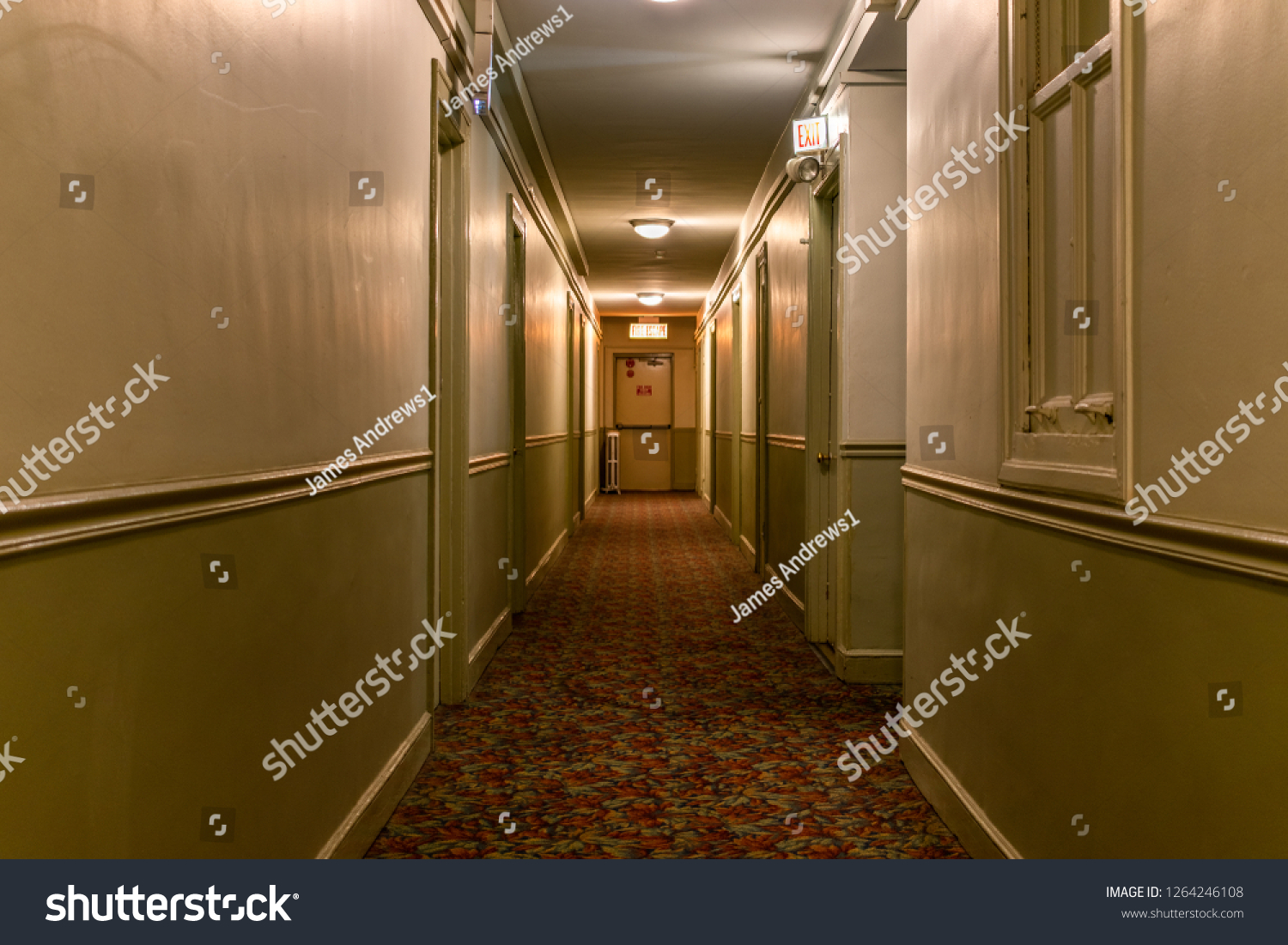 Hallway apartment Images, Stock Photos & Vectors | Shutterstock