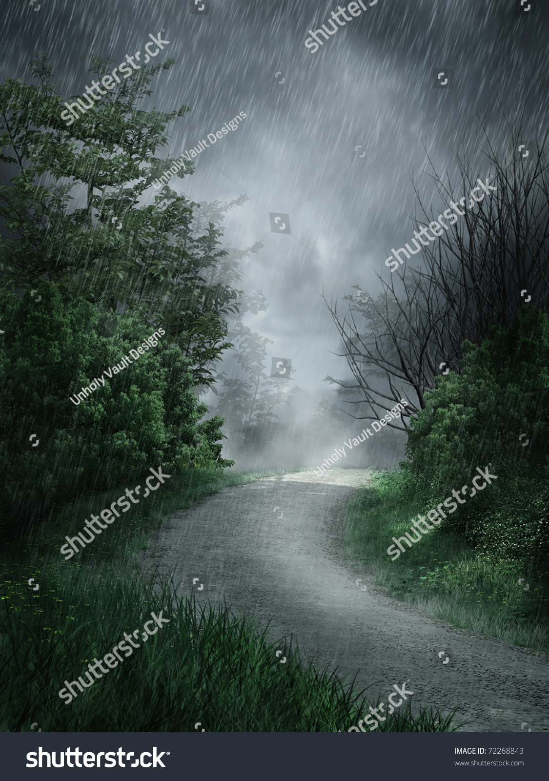 Dark Rainy Landscape Forest Road Stock Illustration 72268843 - Shutterstock