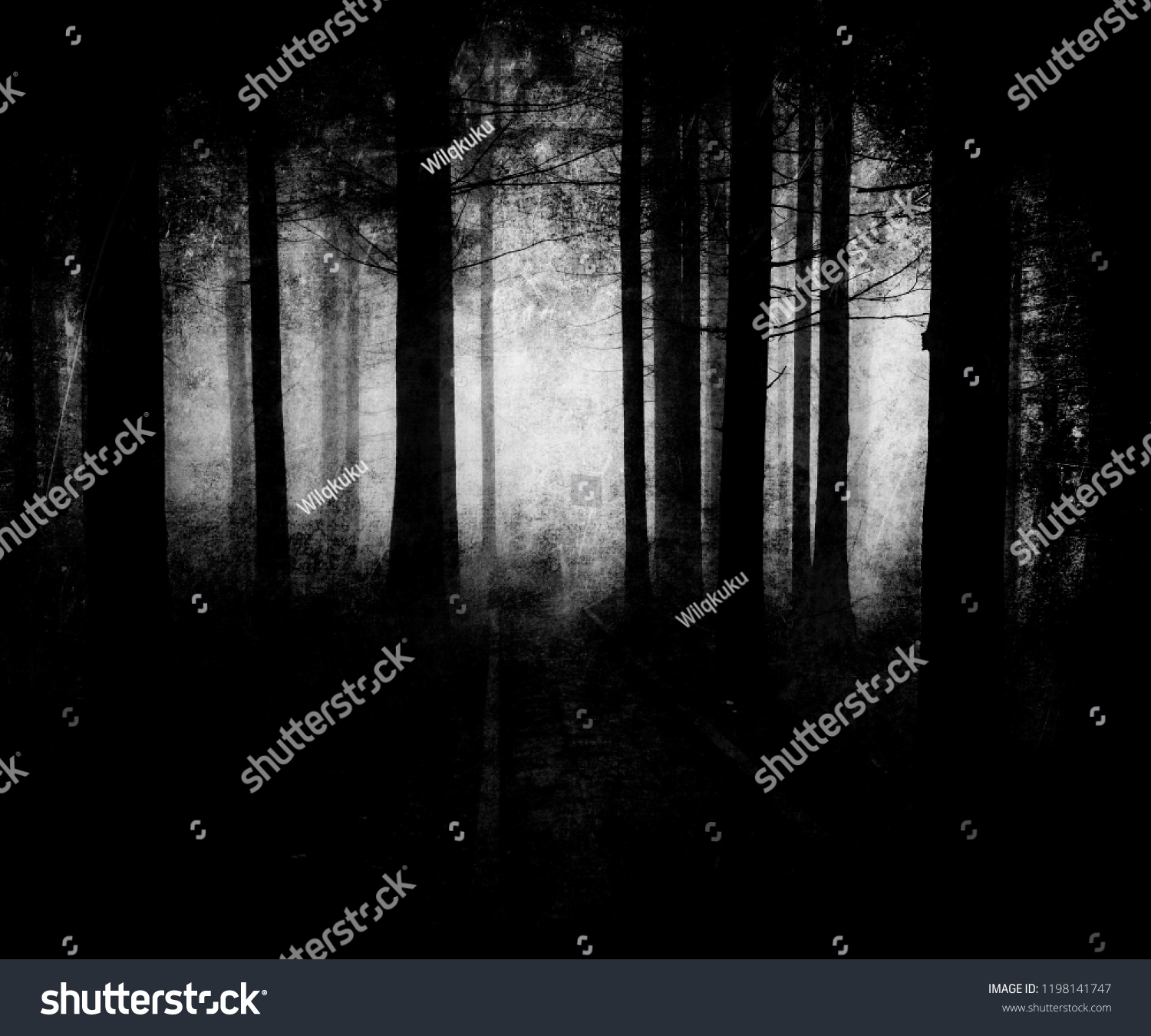 不気味なハロウィーンの背景に暗い怖い森の壁紙 の写真素材 今すぐ編集