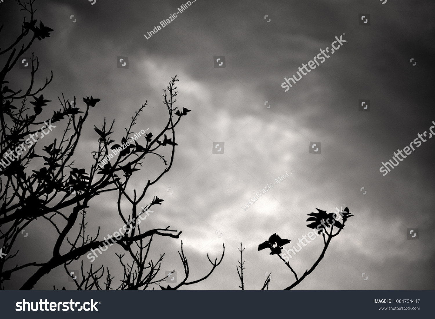 Dark Skies Fantasy Wallpaper Black White Stock Photo Edit Now 1084754447