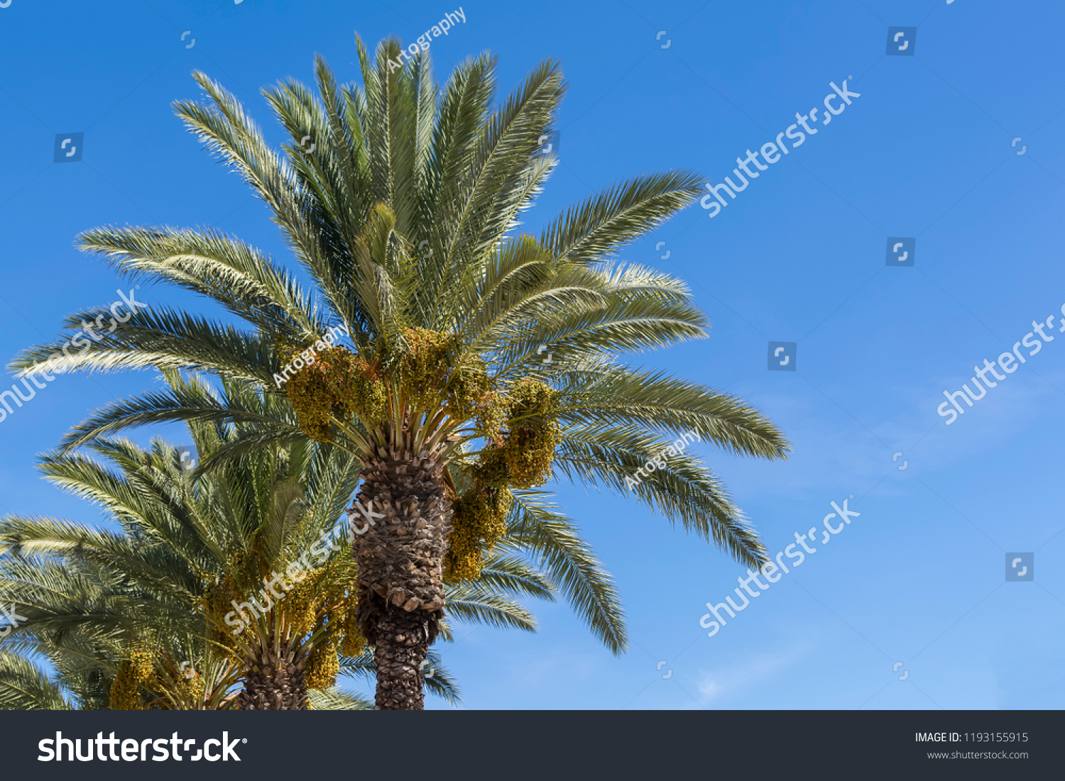 Dating san diego california