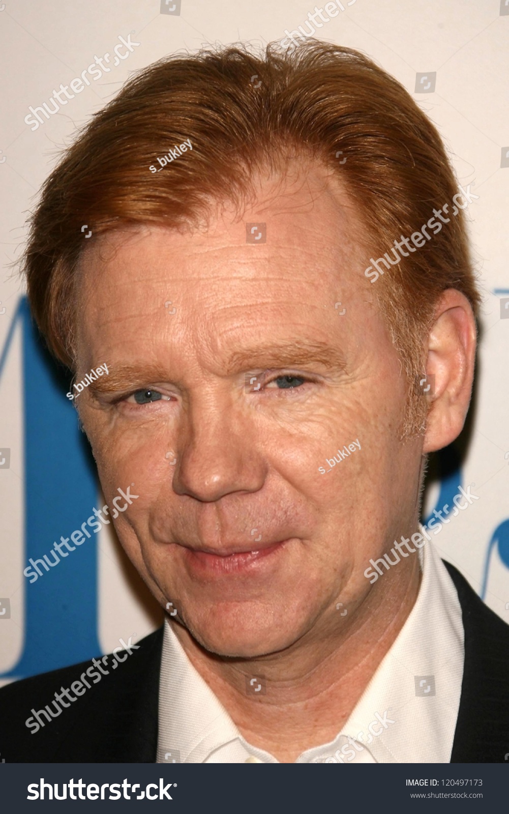 42 imágenes de David caruso - Imágenes, fotos y vectores de stock