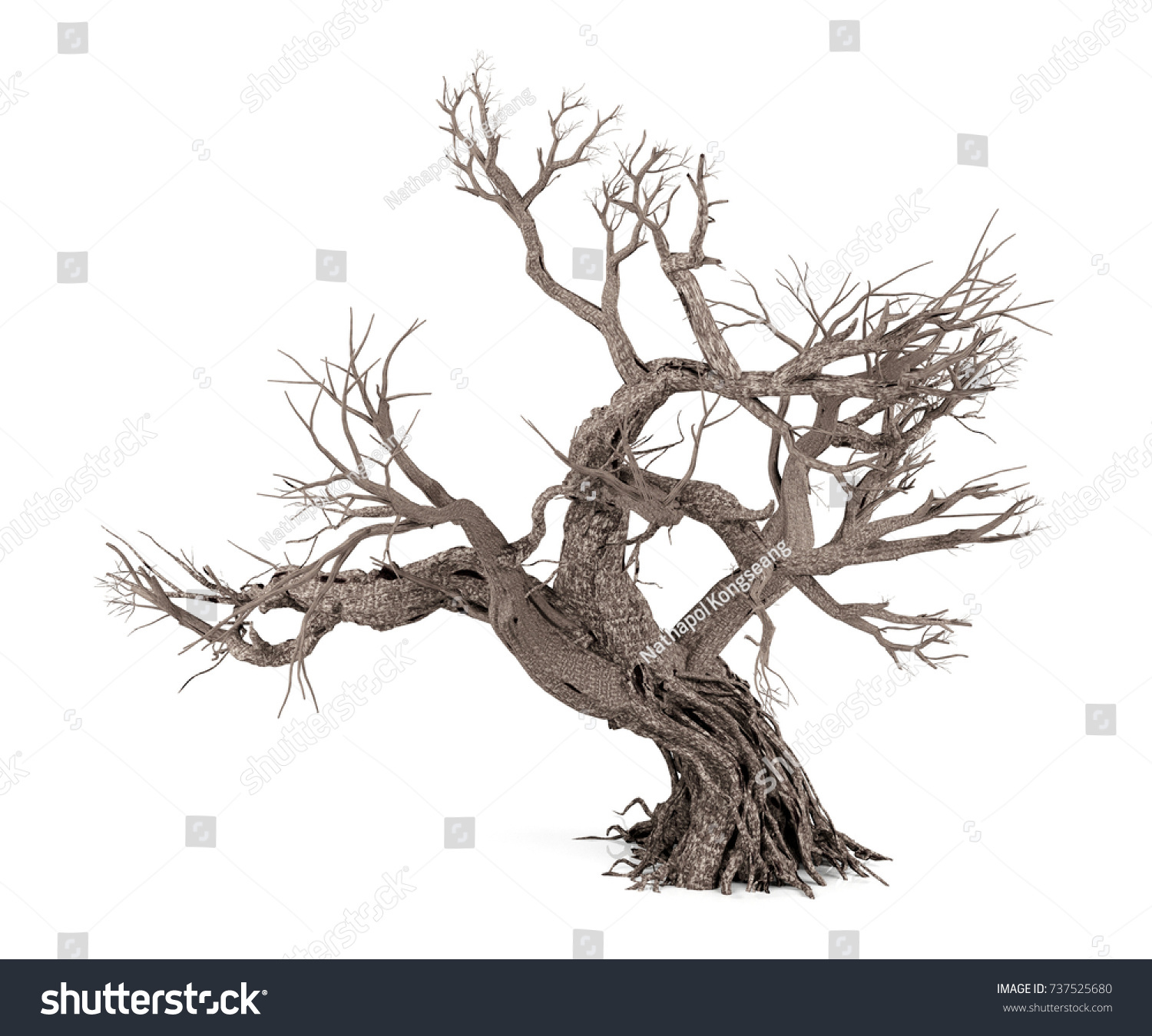 30,488 Dead tree Stock Illustrations, Images & Vectors | Shutterstock