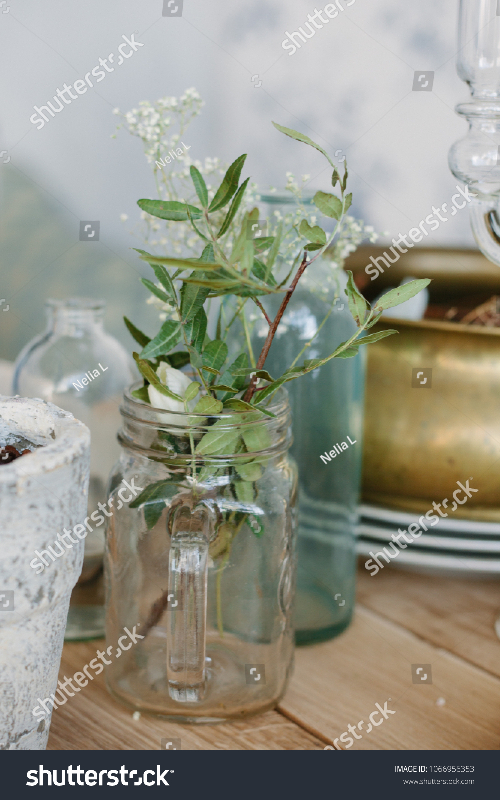 Decorative Jars Plants Wedding Decorations Table Stock Photo Edit