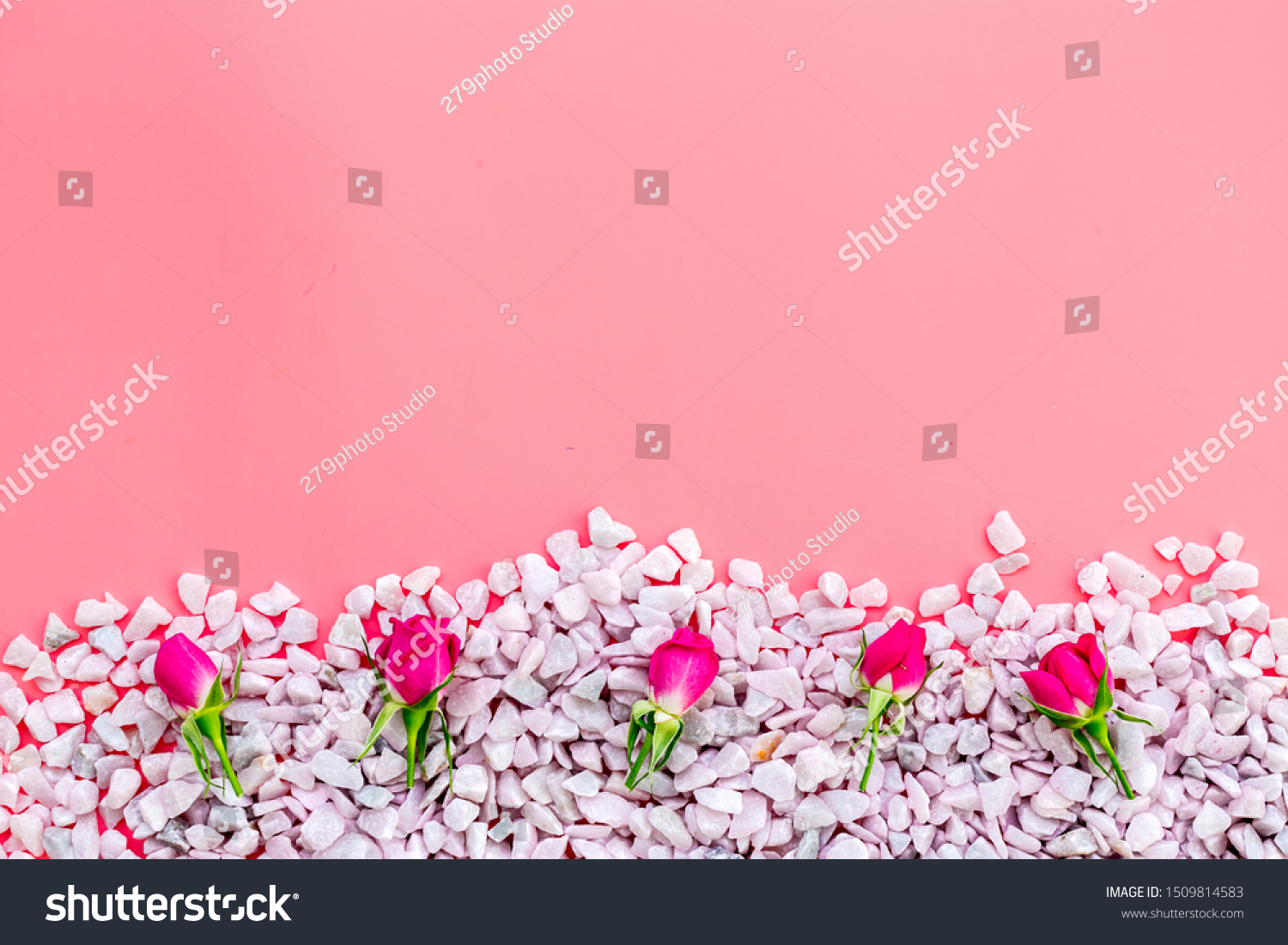 Decorative Pebble Roses Mockup Design On The Arts Stock Image 1509814583