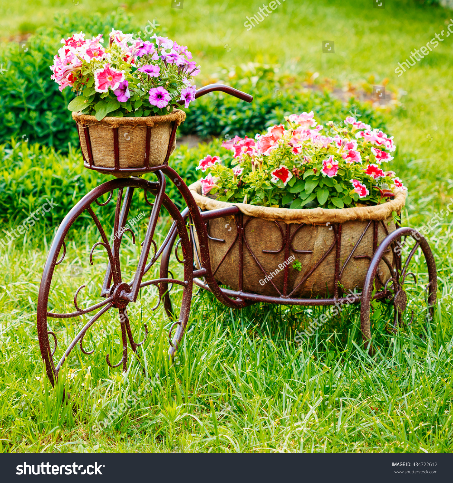 3,554 Garden decorative bicycle Images, Stock Photos & Vectors ...