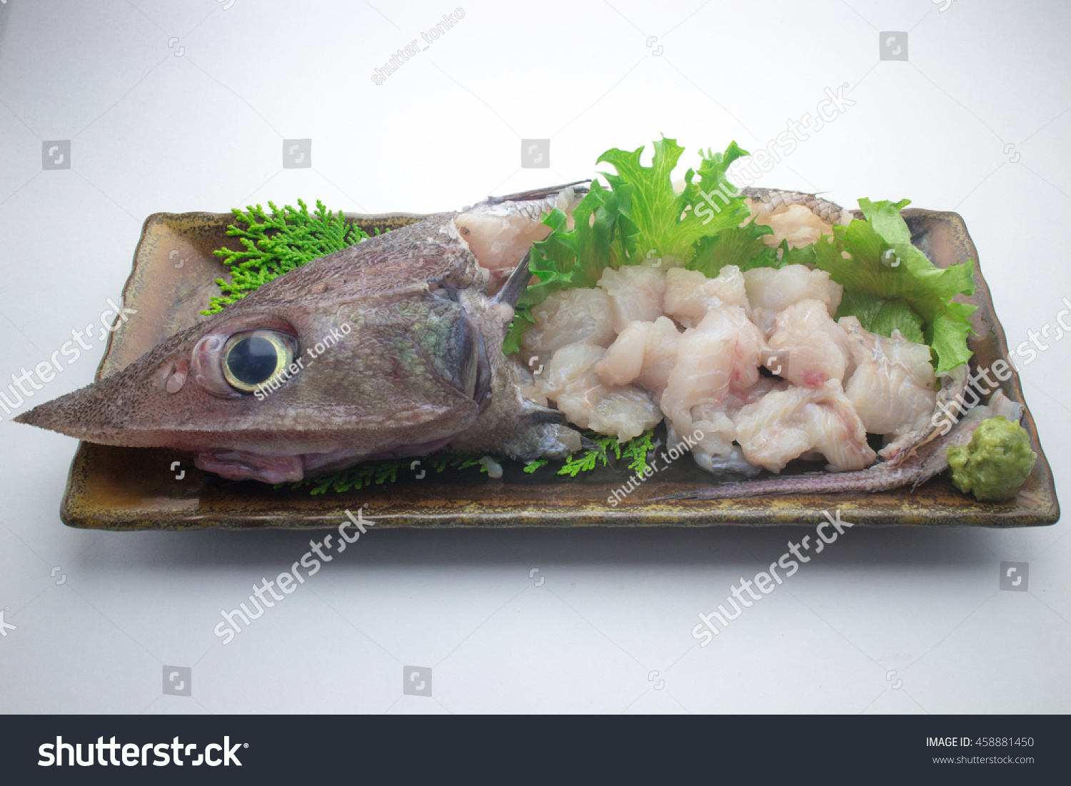 Deepsea Fish Hardhead Grenadier Stock Photo Edit Now