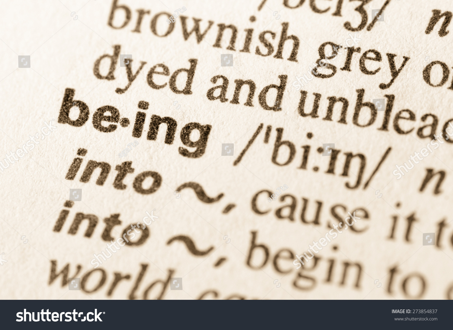 Definition Word Being Dictionary Stock Photo 273854837 