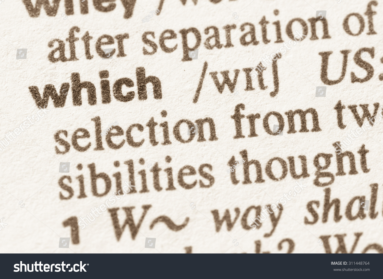 definition-word-which-dictionary-stock-photo-311448764-shutterstock