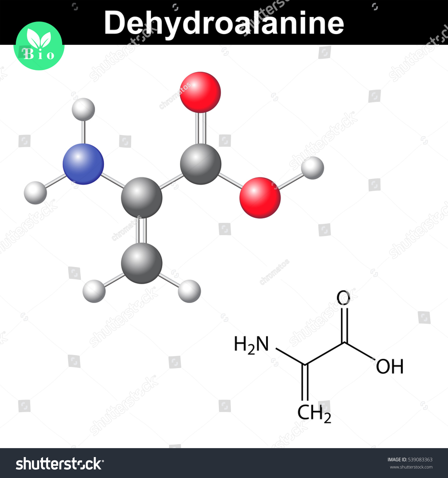 Dehydroalanine Images, Stock Photos & Vectors | Shutterstock