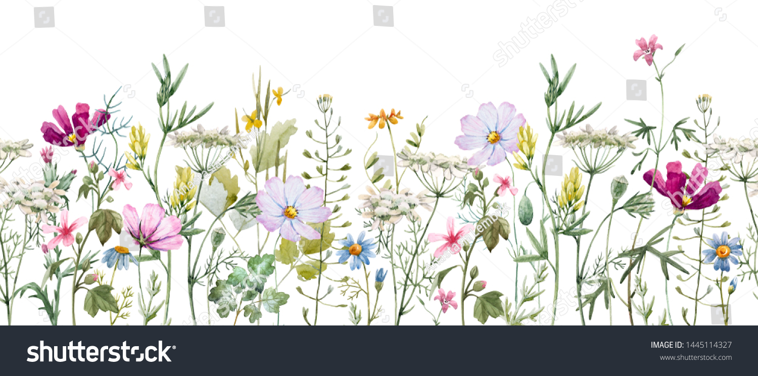 Delicate Floral Horizontal Pattern Meadow Flowers Stock Illustration ...