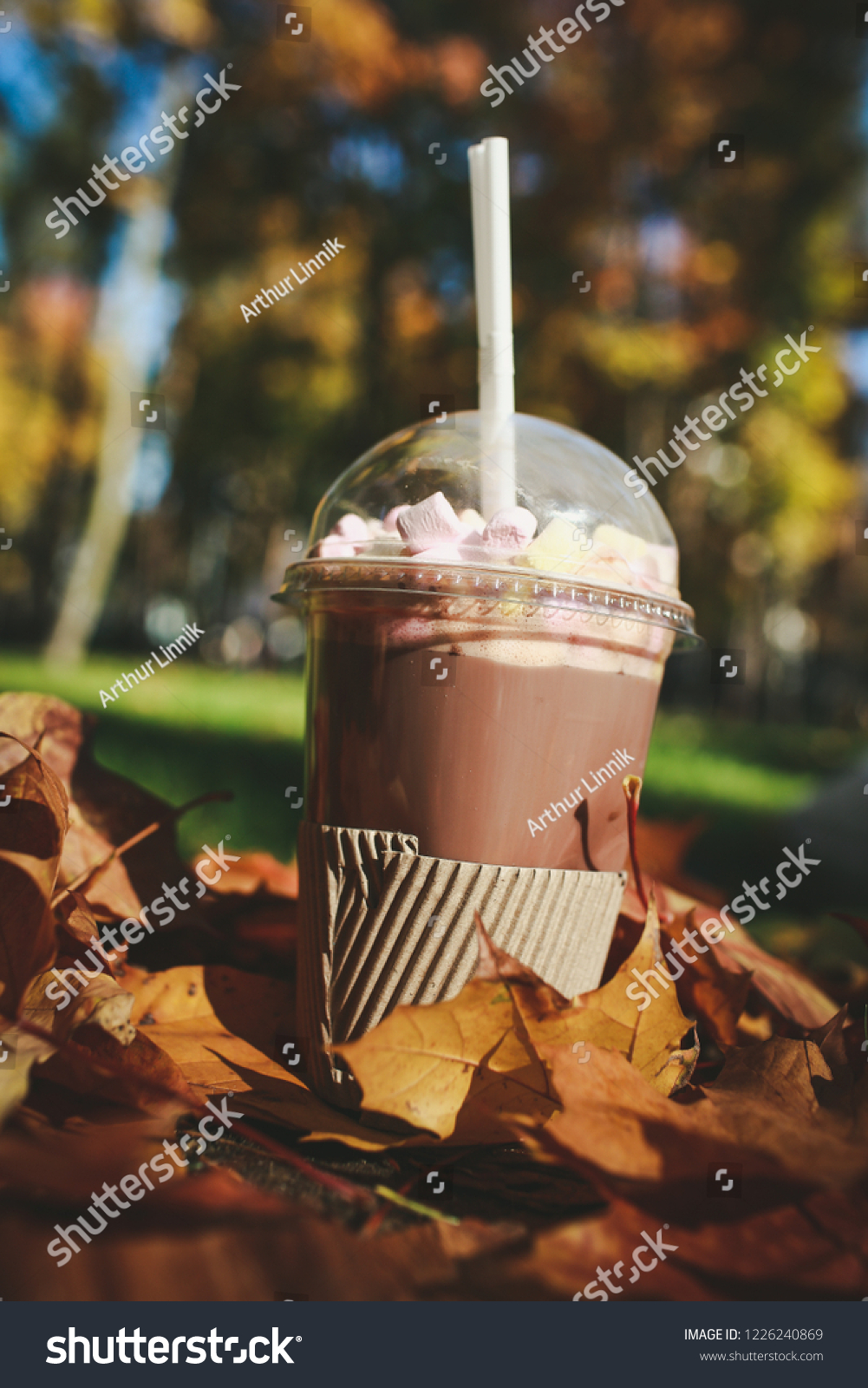 Download Delicious Cocoa Marshmallows Tube Condensed Milk Stock Photo Edit Now 1226240869