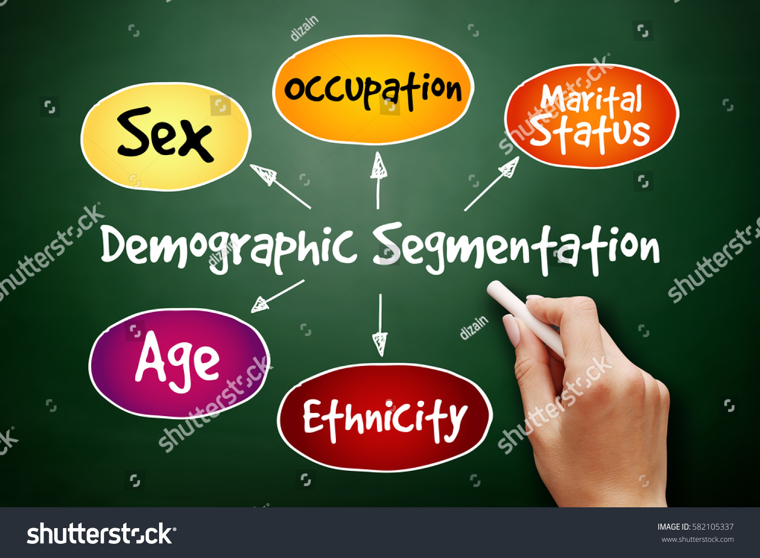 Demographic Segmentation Mind Map Flowchart Social ภาพสต็อก 582105337 ...