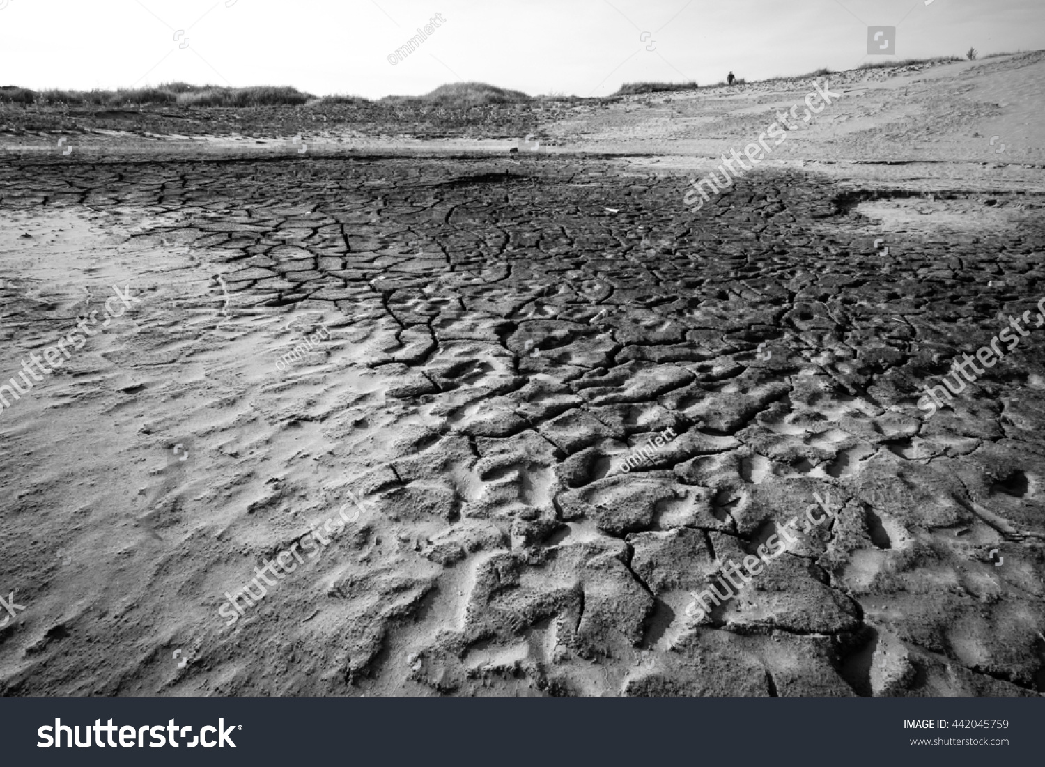 Desert Dramatic Scene Black White Stock Photo 442045759 | Shutterstock