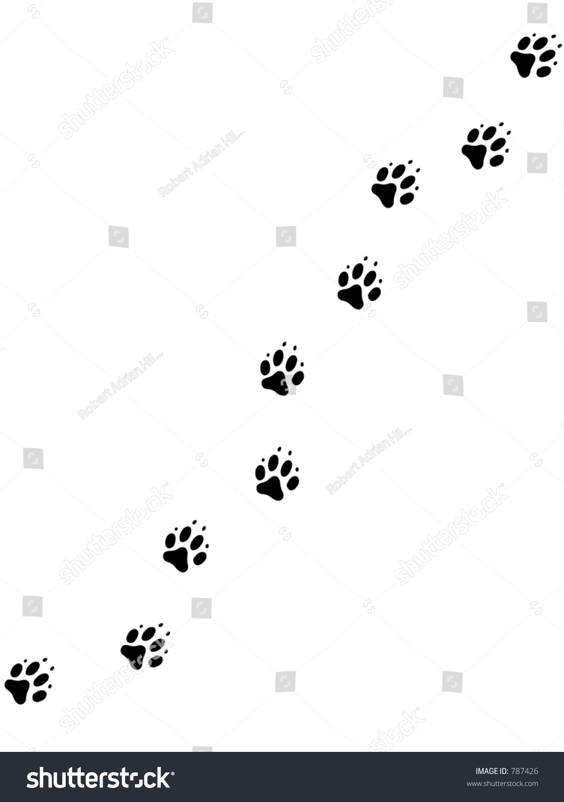 Design Of Black Dog Pawprints Stock Photo 787426 : Shutterstock