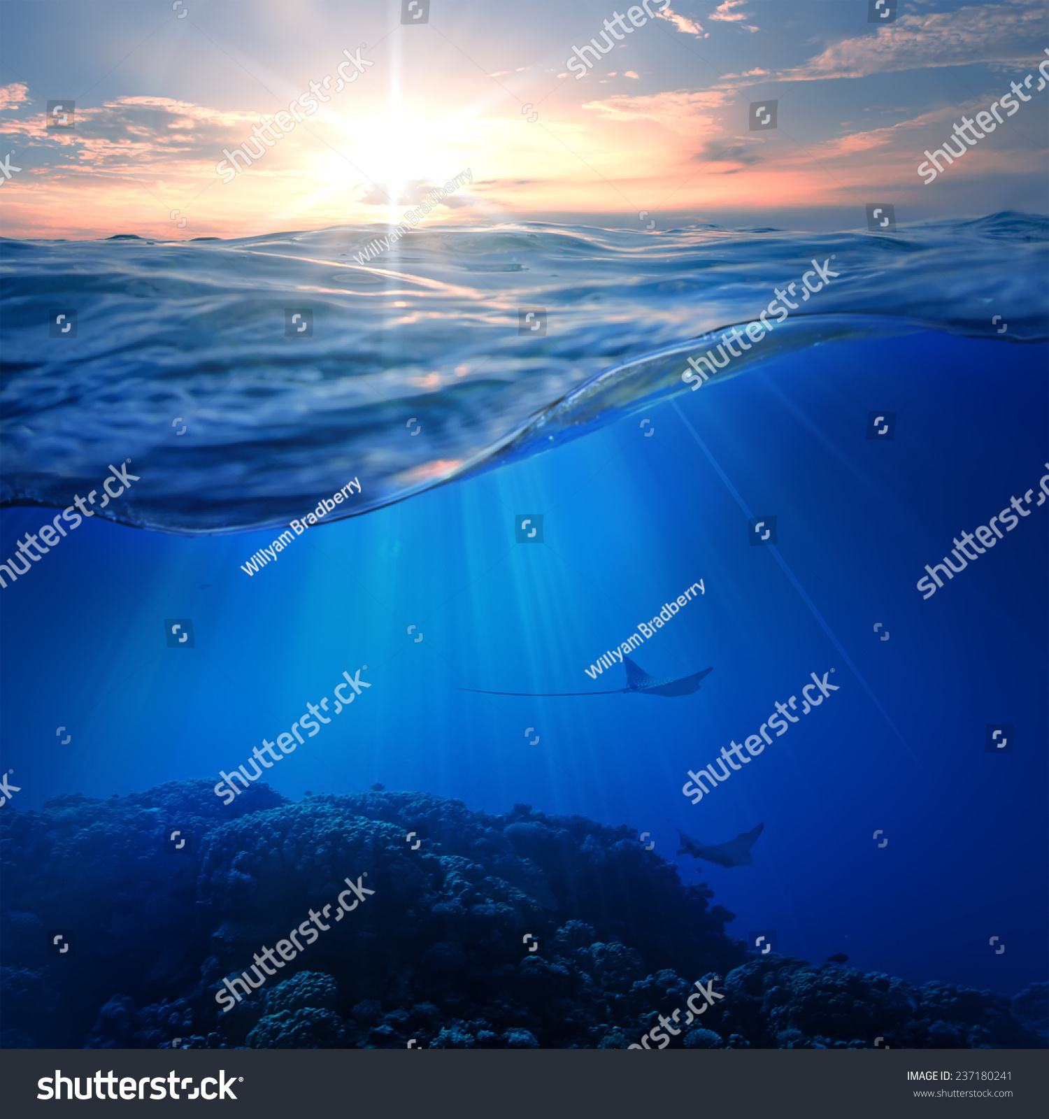 Design Template Underwater Coral Reef With Marine Animals And Tropical ...
