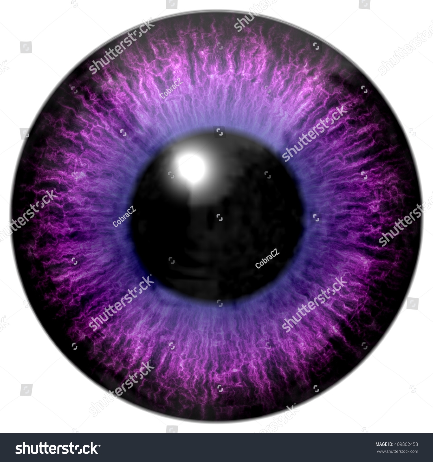 Detail Of Eye With Pink, Purple Colored Iris, White Veins And Black ...