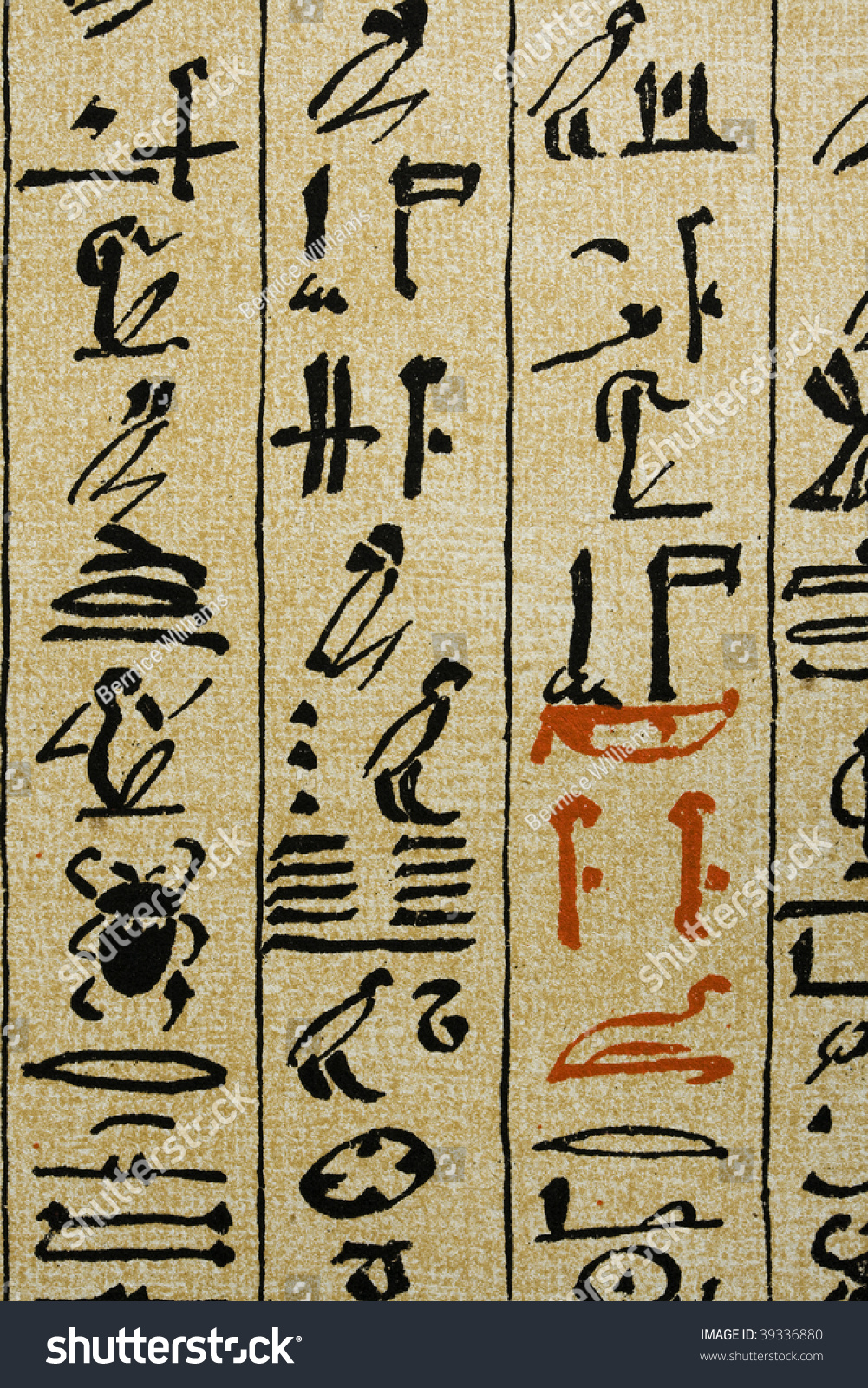 Detail Of 1877 Lithograph Of Hieroglyphic Text On Papyrus Stock Photo ...