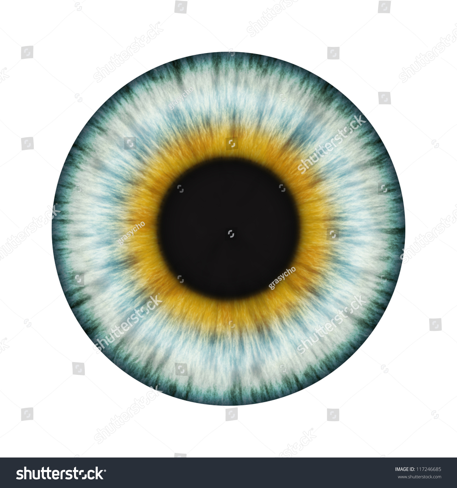 Detailed Realistic Eye Texture Stock Photo 117246685 Shutterstock